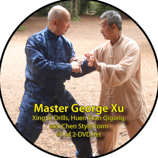 George Xu Yu Xiao Lin Martial Arts Video