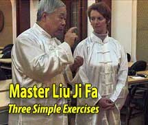 Liu Ji Fa Wu Style Video